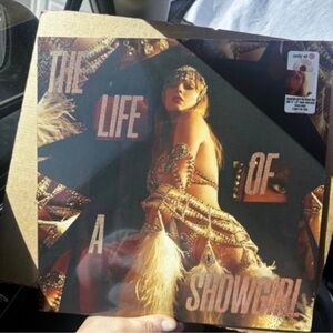 Taylor Swift Vinyl Record - Black and Gold